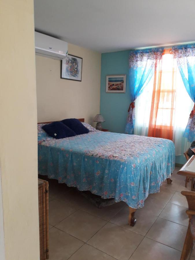 Seacastle Deluxe Studio Montego Bay Exteriér fotografie