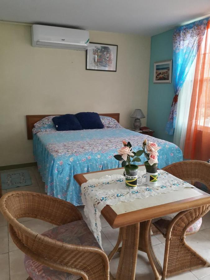 Seacastle Deluxe Studio Montego Bay Exteriér fotografie