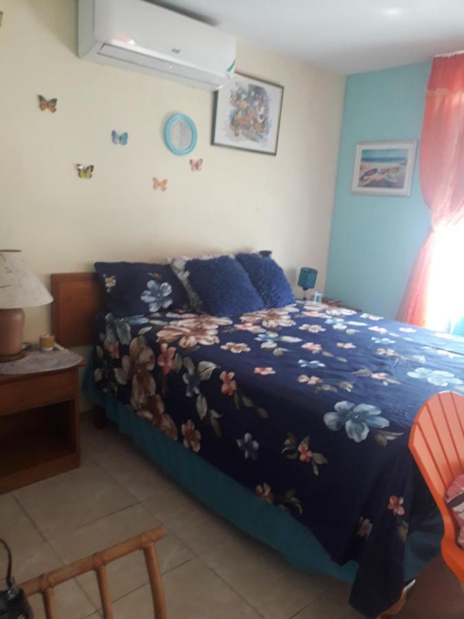 Seacastle Deluxe Studio Montego Bay Exteriér fotografie